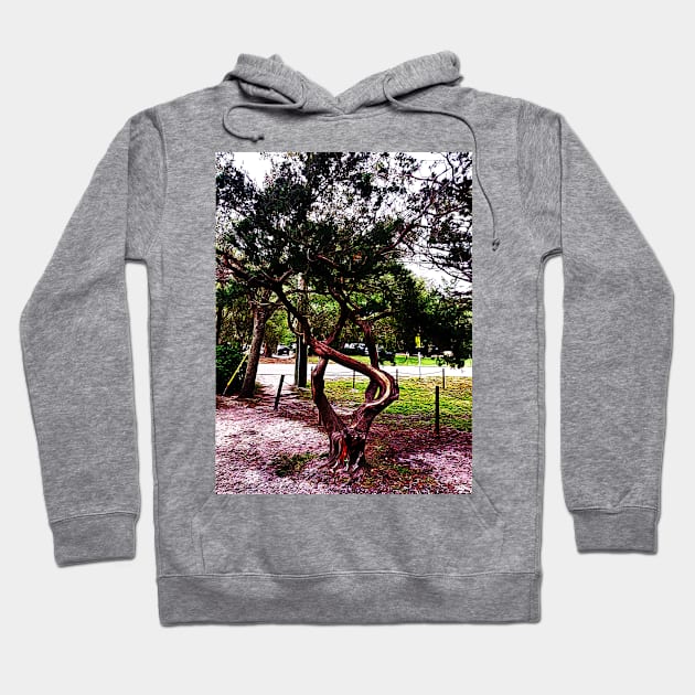 The Twisted Tree 1123 Hoodie by Korey Watkins